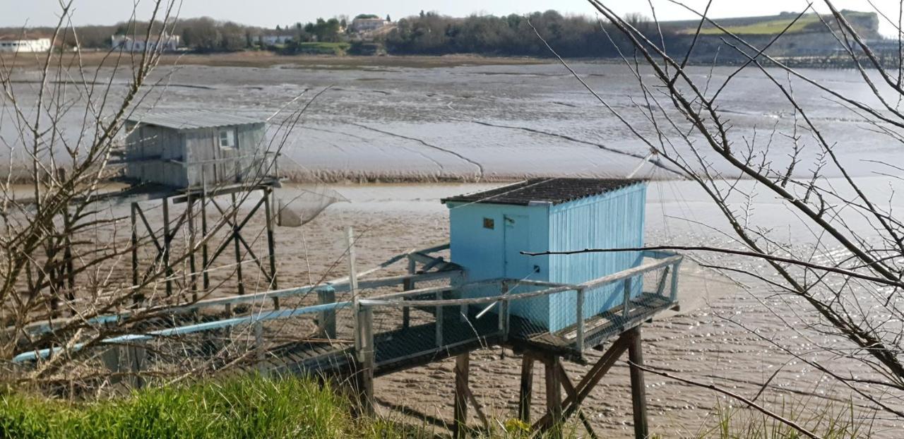 Grande maison charentaise avec vue sur le chenal superbes couchés de soleil sur l estuaire de la gironde! Mortagne-sur-Gironde Exterior foto